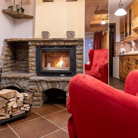 Apartment Apartamenty Z Widokiem Na Tatry Cztery Pory Roku